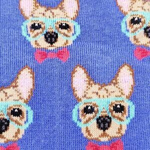 HotSox blue chihuahua socks